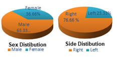 Chart 2: Pie Chart Showing Sex and Side Distribution